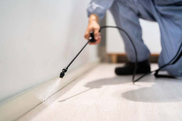 Certified termite inspector examining foundation in Harpersville