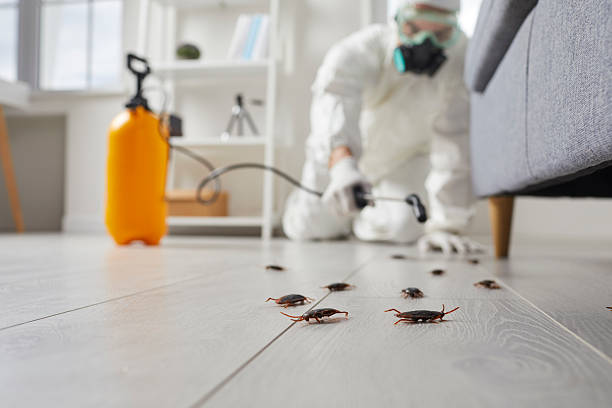 Commercial Kitchen Cockroach Control in Harpersville